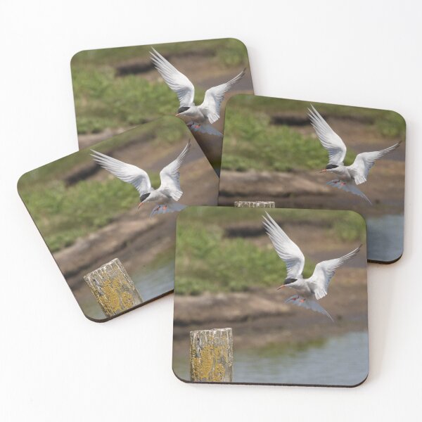Item preview, Common Tern designed and sold by LaurenTucker.
