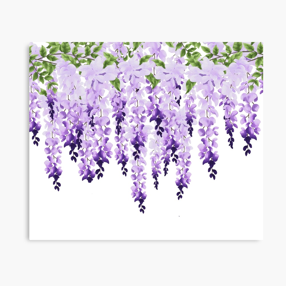 Wisteria Purple Door Poster - Purple flower print