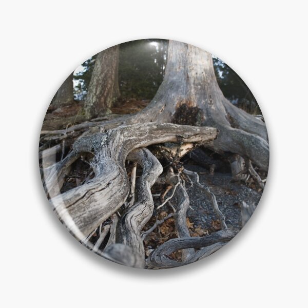 Item preview, Roots of life designed and sold by jsbb123.