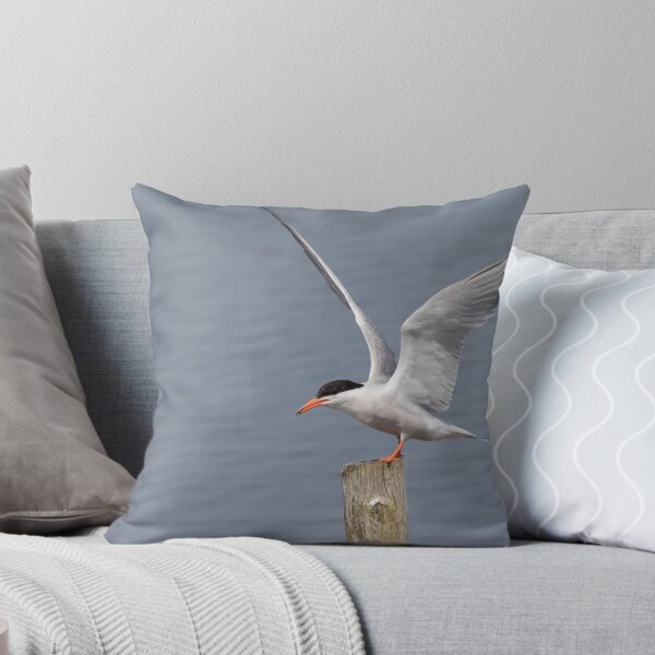 Item preview, Common Tern designed and sold by LaurenTucker.