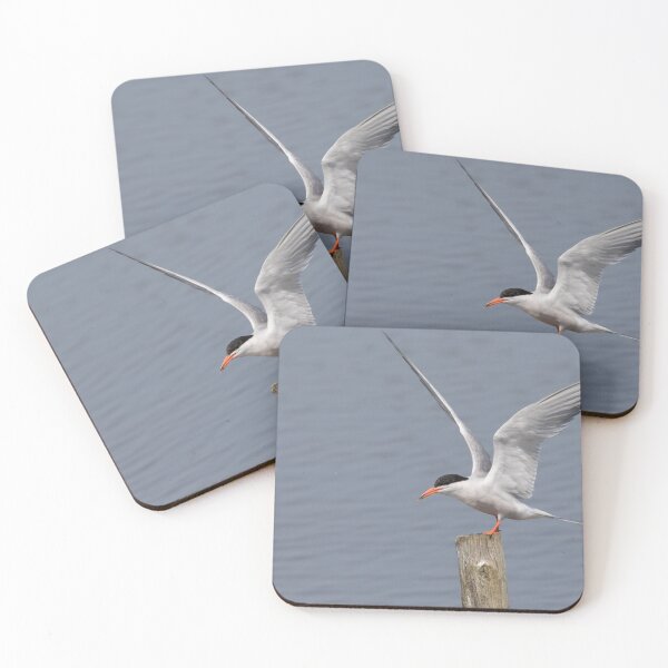 Item preview, Common Tern designed and sold by LaurenTucker.