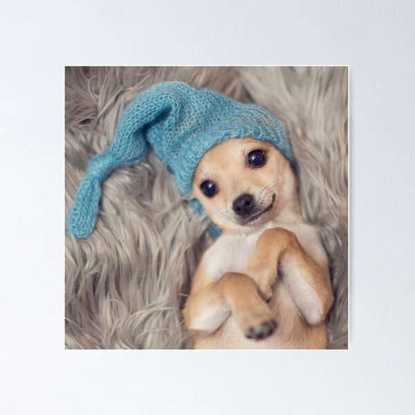 Item preview, Puppy nap time designed and sold by jsbb123.