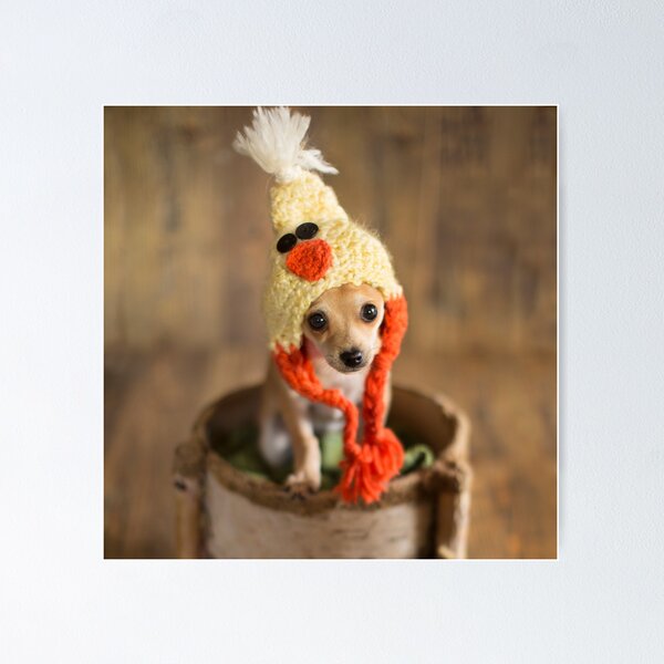Item preview, chicken pup designed and sold by jsbb123.