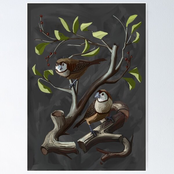Owl Finches Float Poster