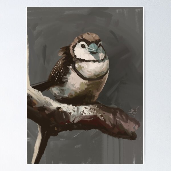 Owl Finch Cosy Poster