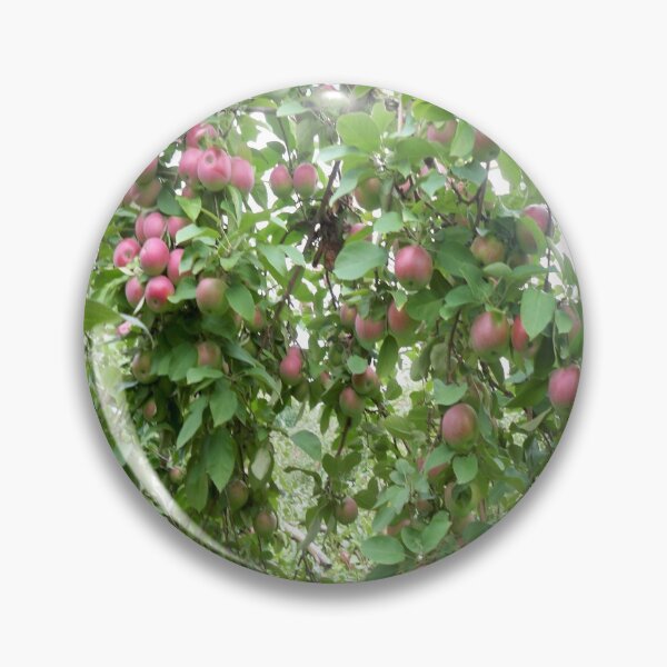 Item preview, Apple orchard designed and sold by Jujucreation.