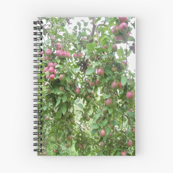 Item preview, Apple orchard designed and sold by Jujucreation.