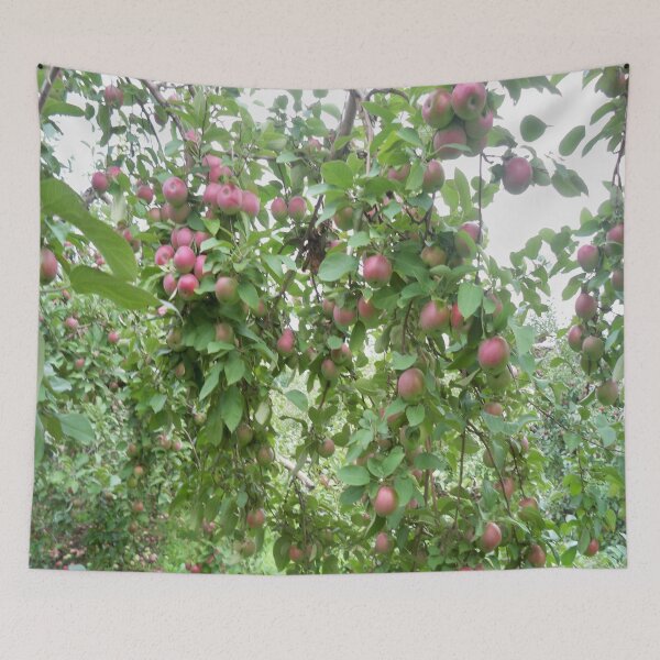 Item preview, Apple orchard designed and sold by Jujucreation.