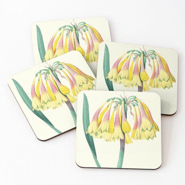 Item preview, Cyrtanthus Obliquus Flower  designed and sold by DaphneKstudio .