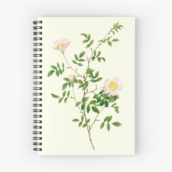 Item preview, Brier Bush Rose Flower  designed and sold by DaphneKstudio .
