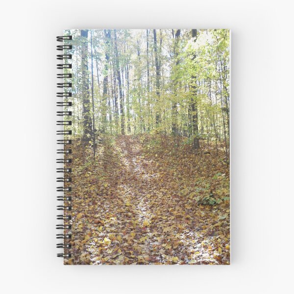Item preview, Fall trail designed and sold by Jujucreation.