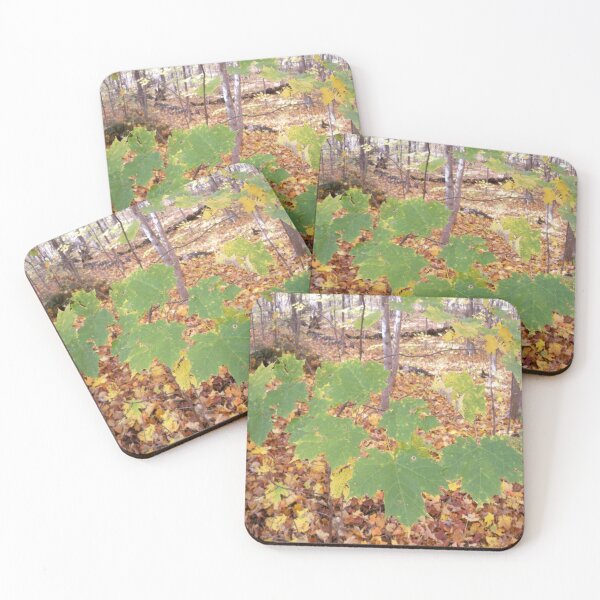 Item preview, Autumn leaf designed and sold by Jujucreation.