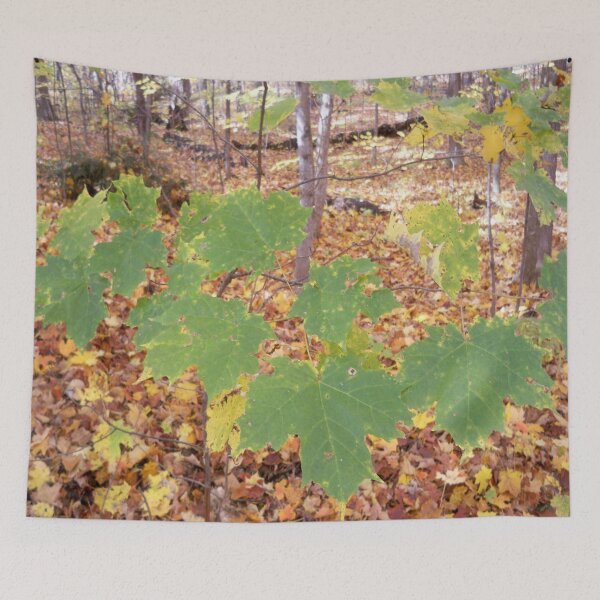 Item preview, Autumn leaf designed and sold by Jujucreation.