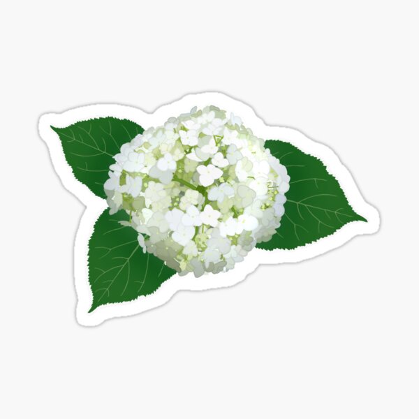 Item preview, Hydrangeas in White designed and sold by Hanna M.