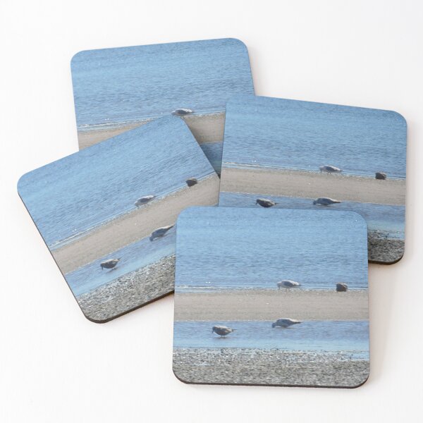 Item preview, Seagulls designed and sold by Izayo-Darke1.