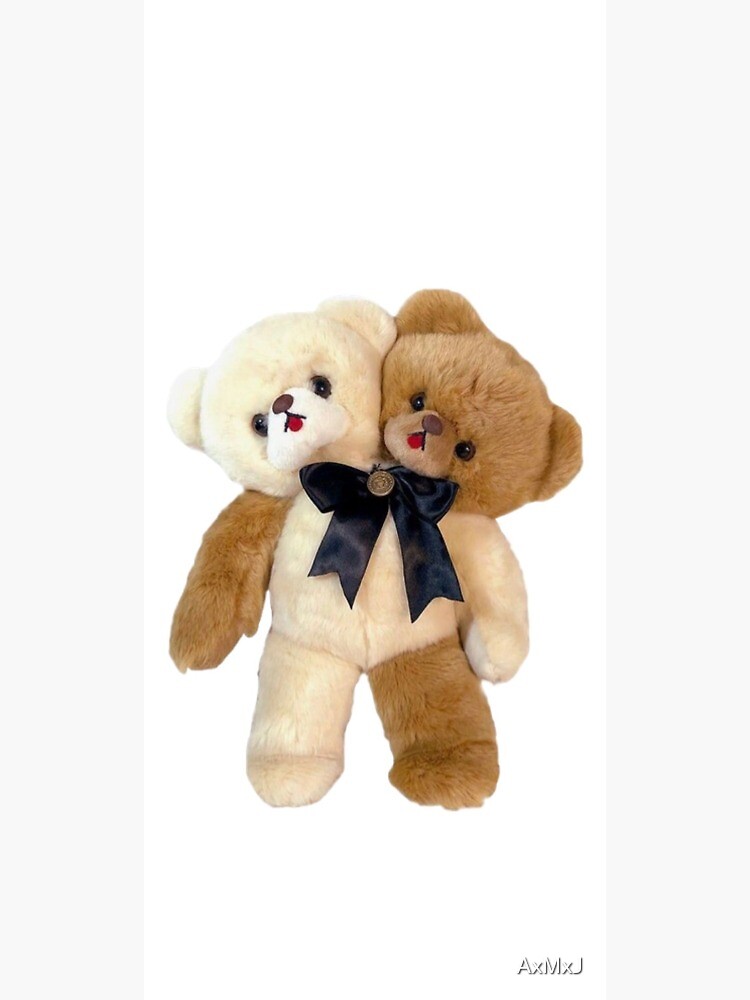 Two headed cheap teddy bear