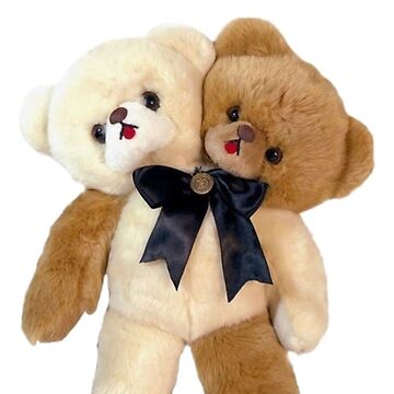 Two headed teddy clearance bear