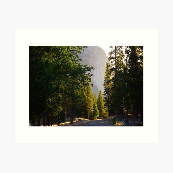 Sunrise over Trees and King's Canyon Road Art Print