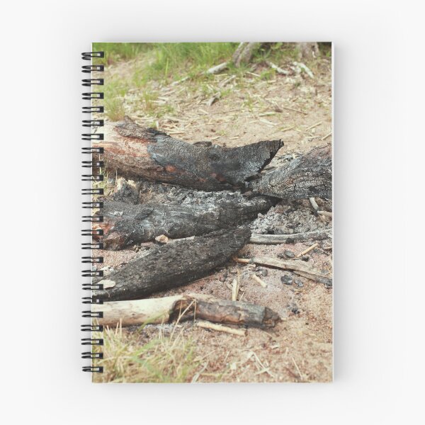 Item preview, extinguished bonfirein the forest  designed and sold by mrivserg.