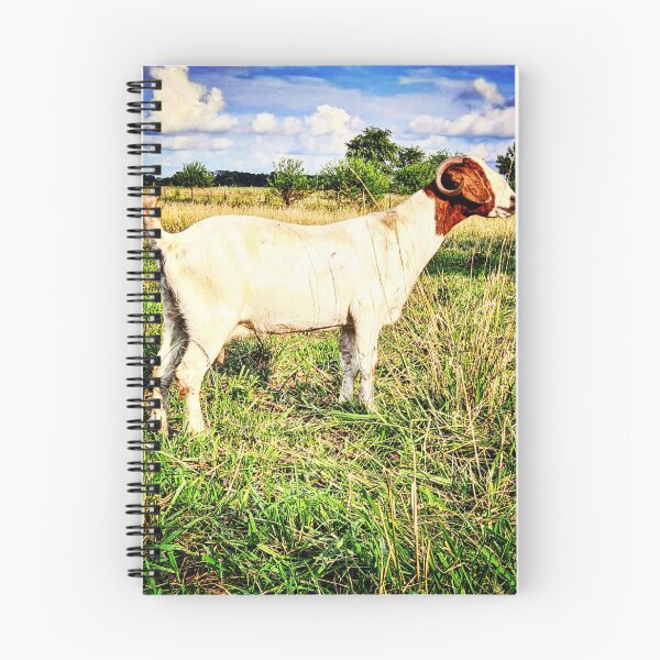 Item preview, Boer Beauty designed and sold by Kcbyrd.