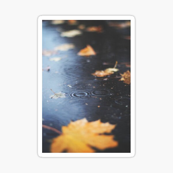 Autumn rain Sticker