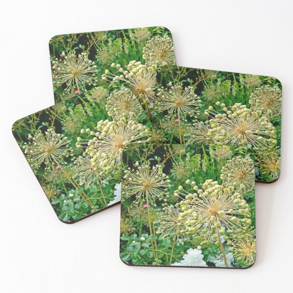 Item preview, Duluth Rose Gardens Study 2  designed and sold by Robert Meyers-Lussier.