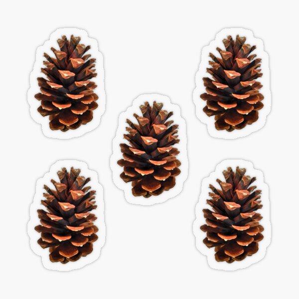 Item preview, Pinecone (Jeffery Pine) designed and sold by Tree45.