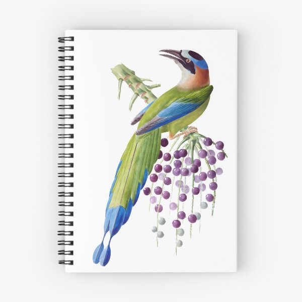Item preview, Amazonian Motmot - Exotic Birds designed and sold by AlexSin.