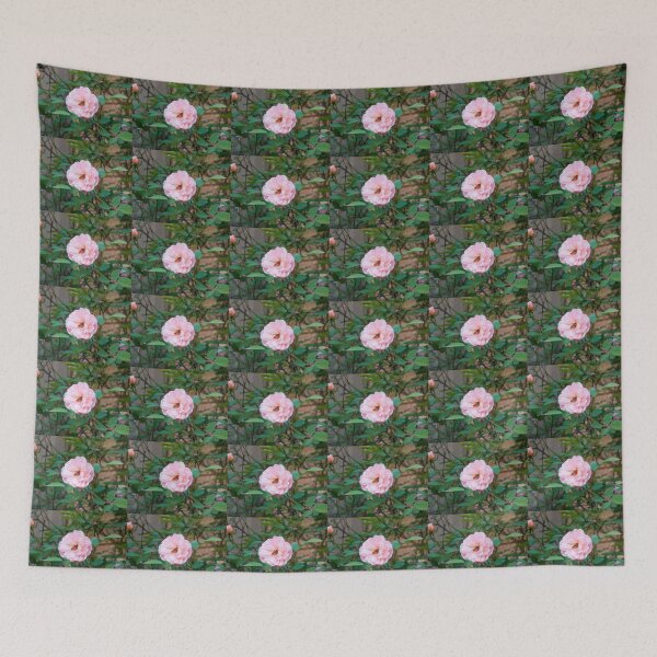 Item preview, Bee exploring the pollen of a pink rose designed and sold by ashishagarwal74.