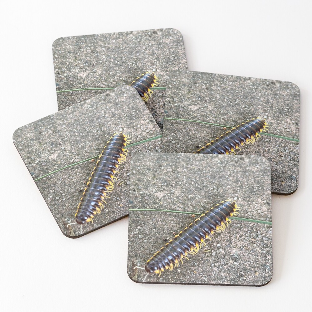 Item preview, Coasters (Set of 4) designed and sold by KatesFunDesigns.