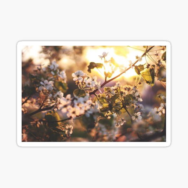 Gold flowers Sticker