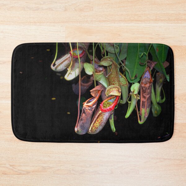 Item preview, Pitcher Plant designed and sold by Savannah Gibbs.