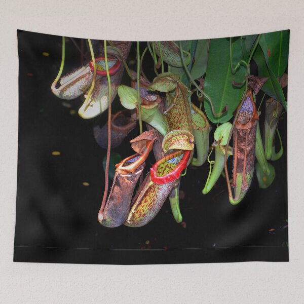 Item preview, Pitcher Plant designed and sold by Savannah Gibbs.