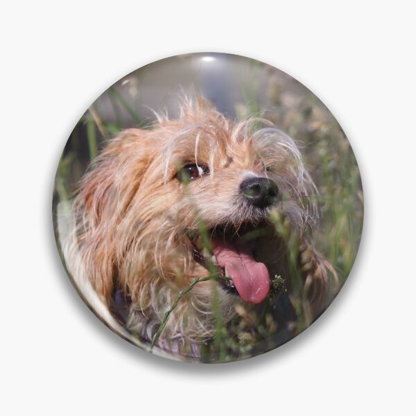 Item preview, Happy dog in summer designed and sold by GreyFeatherPhot.