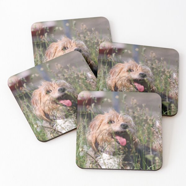 Item preview, Happy dog in summer designed and sold by GreyFeatherPhot.