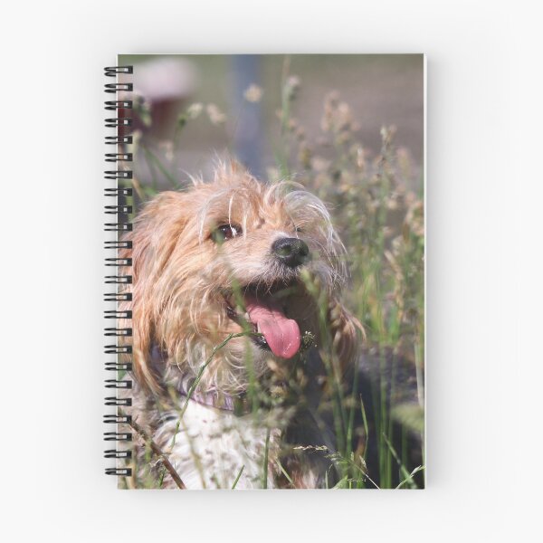Item preview, Happy dog in summer designed and sold by GreyFeatherPhot.
