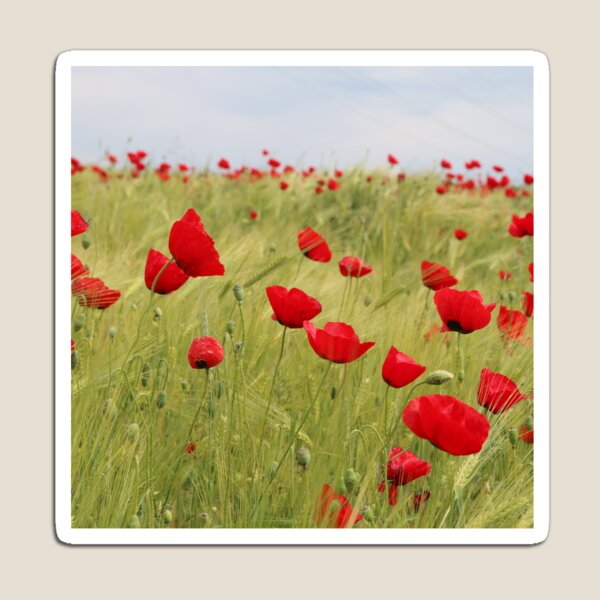 Item preview, Poppy field designed and sold by DesignerCate.