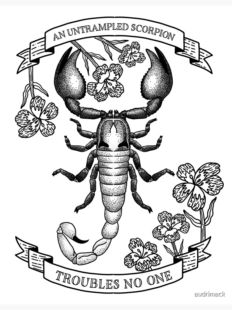 Scorpio zodiac sign ink sketch line tattoo Vector Image