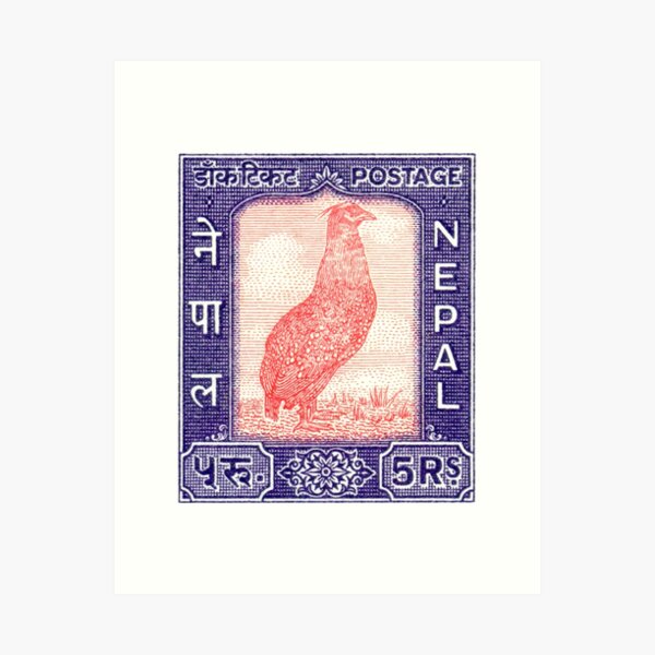 Item preview, 1960 Nepal Satyr Tragopan Postage Stamp designed and sold by retrographics.