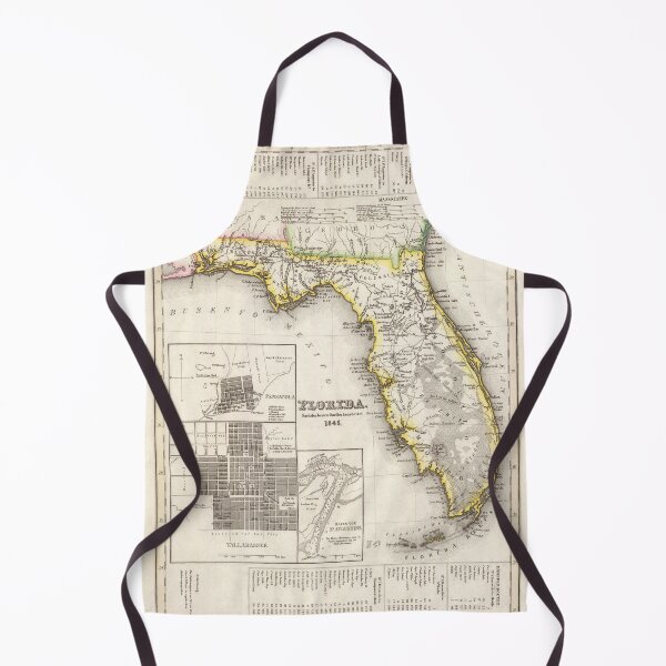 Item preview, Old Florida & Tallahassee Map (1845) Vintage Sunshine State and FL Capital City Atlas designed and sold by BravuraMedia.