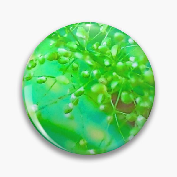 Item preview, Speckled Plant designed and sold by SarahEmilyArt.