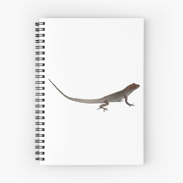 Aperçu de l'œuvre Anole marron créée et vendue par Crystaliii.