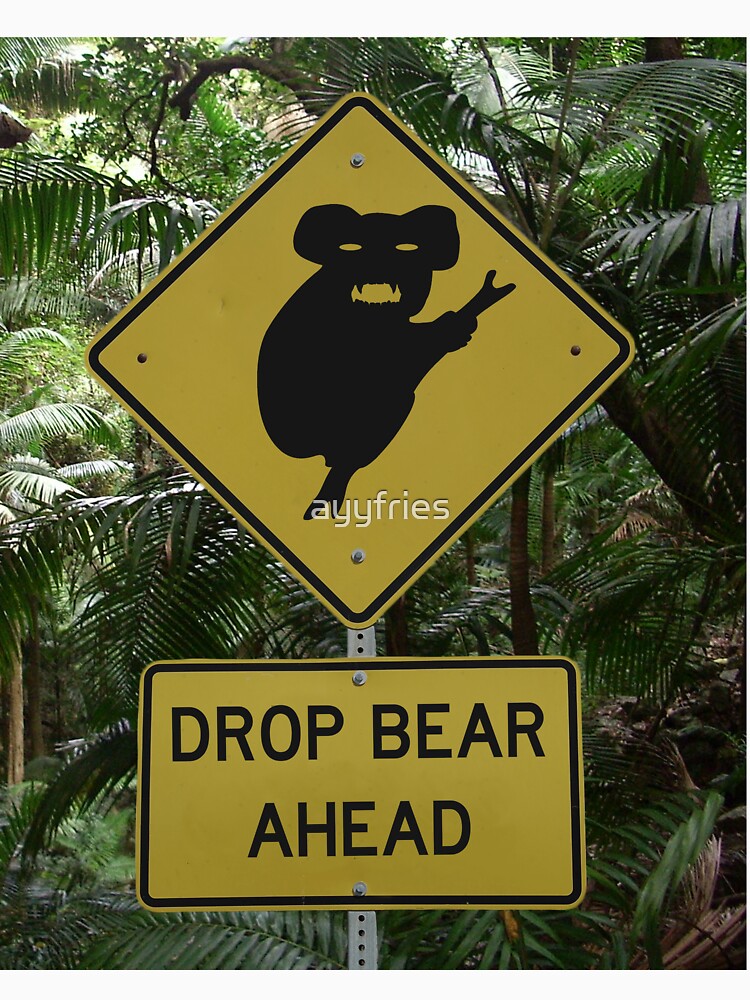 drop bear t shirt