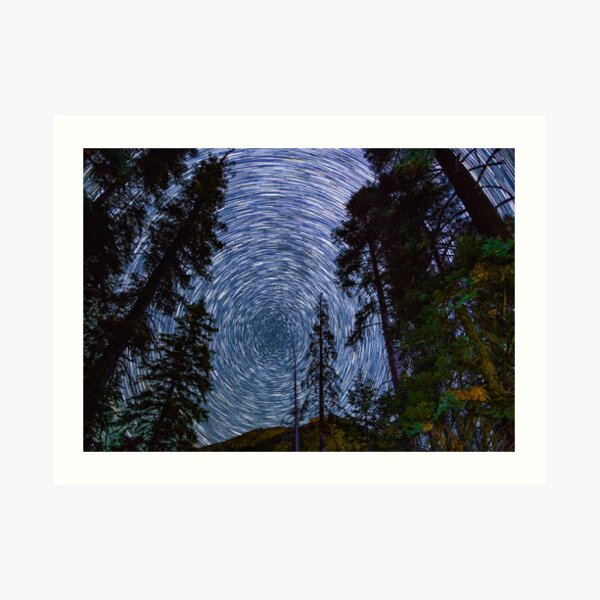 Polaris Star Trails Over Big Forest in King's Canyon Art Print