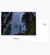 Polaris Star Trails Over Big Forest in King's Canyon Postcards