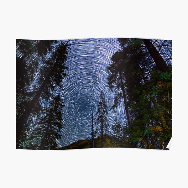 Polaris Star Trails Over Big Forest in King's Canyon Poster