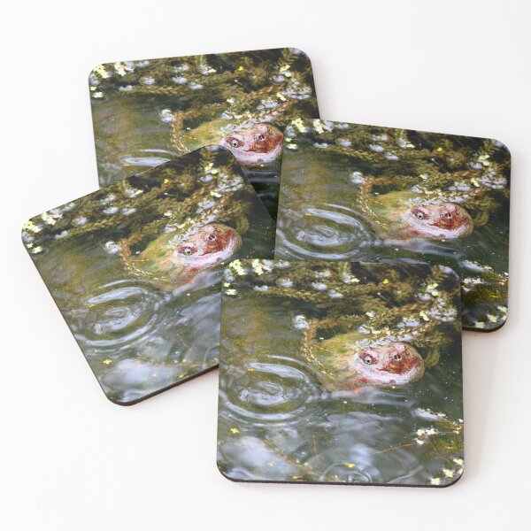 Item preview, Native Snapping Turtle Study 3 designed and sold by chstudios.