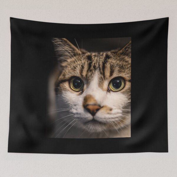 Item preview, Sebastian the cat  designed and sold by Darrin Devlin.