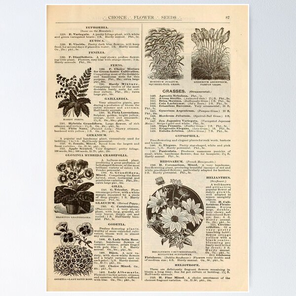 Item preview, arbutus flowers designed and sold by gfsaint.