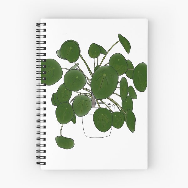 Item preview, pilea peperomioides doodle designed and sold by okplantdoodles.